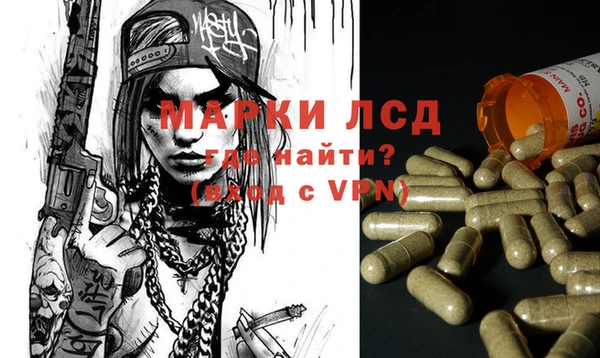гашиш Богданович