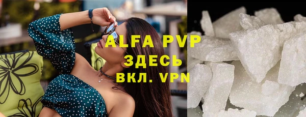 гашиш Богданович