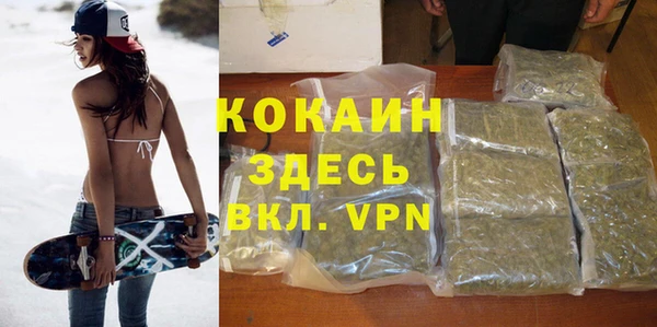 гашиш Богданович