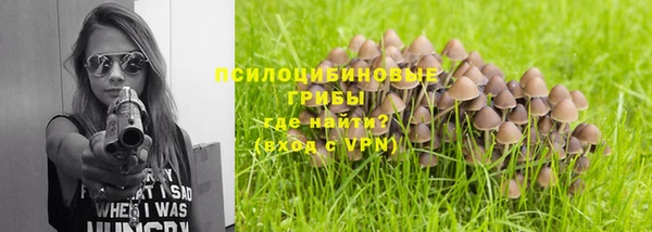 гашиш Богданович