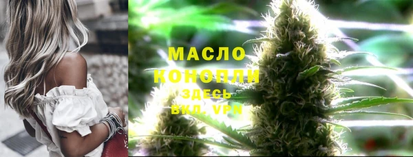 гашиш Богданович